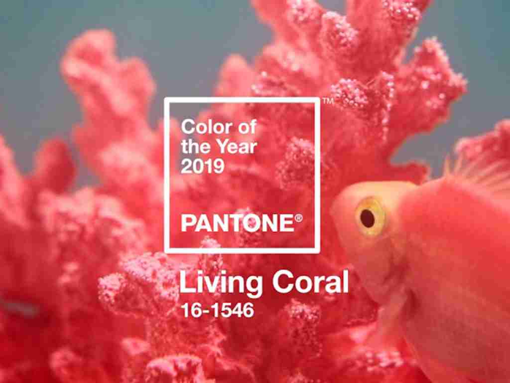 hero living coral